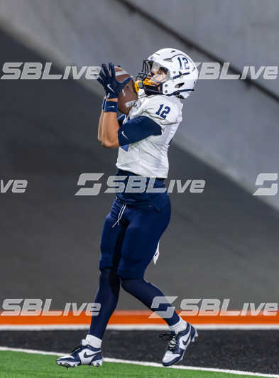 image of player