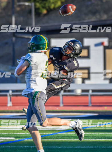 image of player