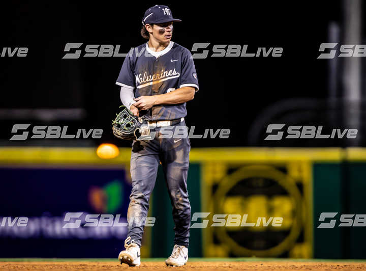 image of player