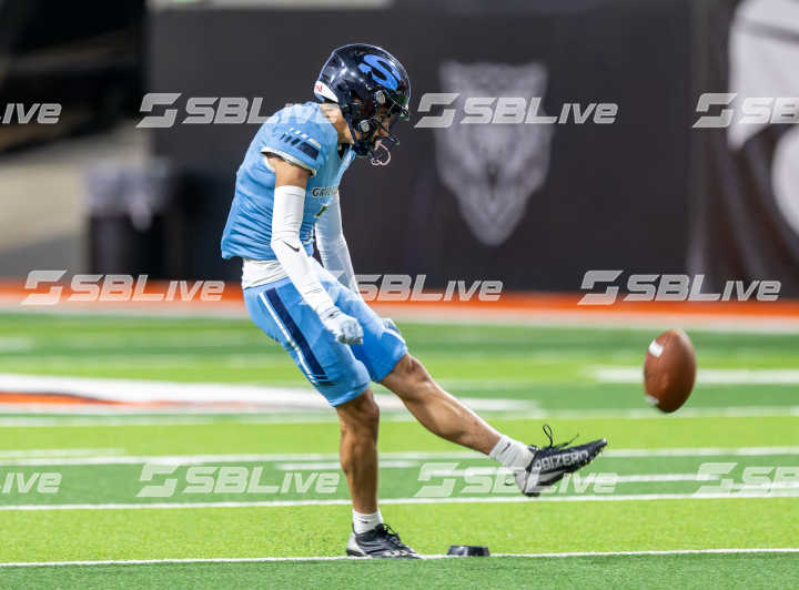 image of player