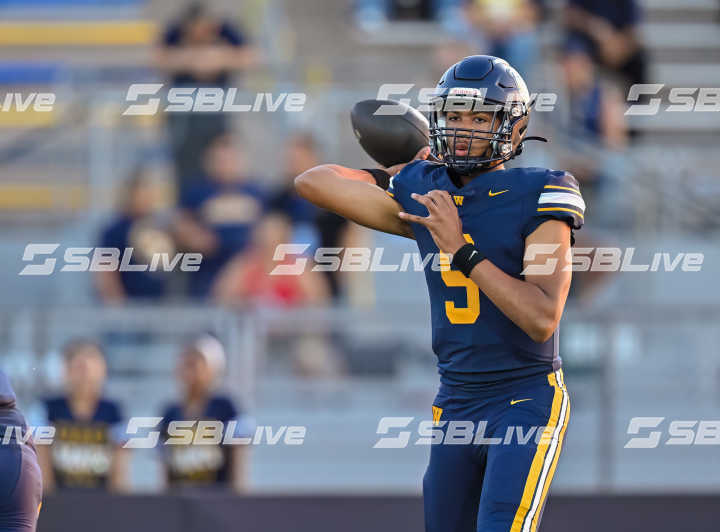image of player