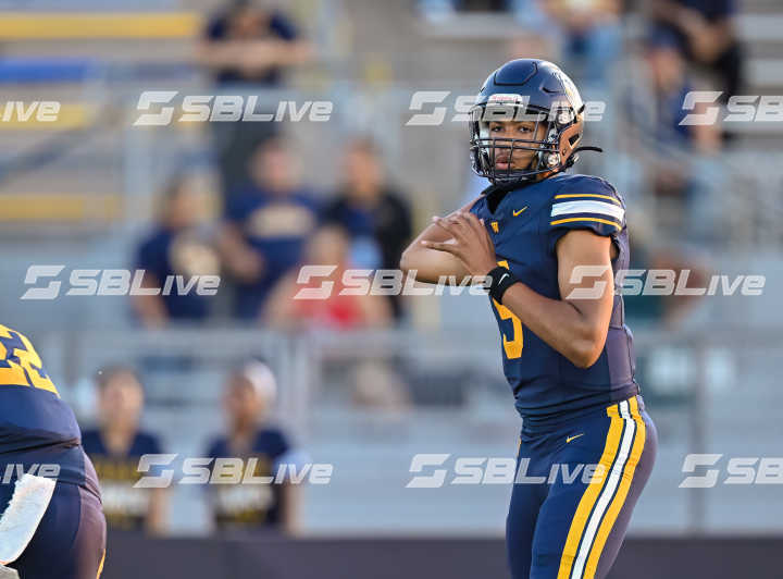 image of player