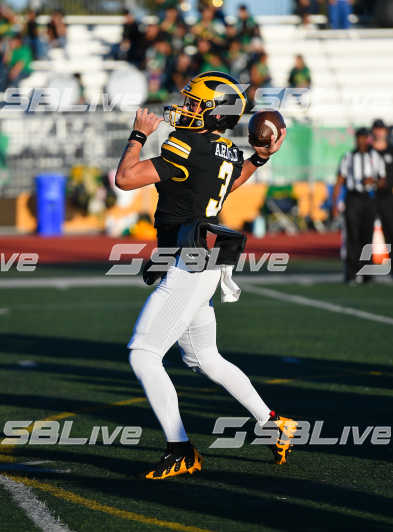 image of player