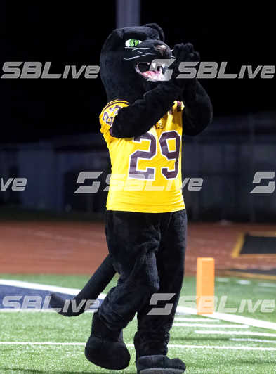 image of player