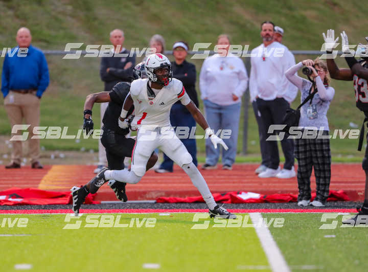image of player