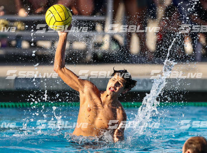 image of player
