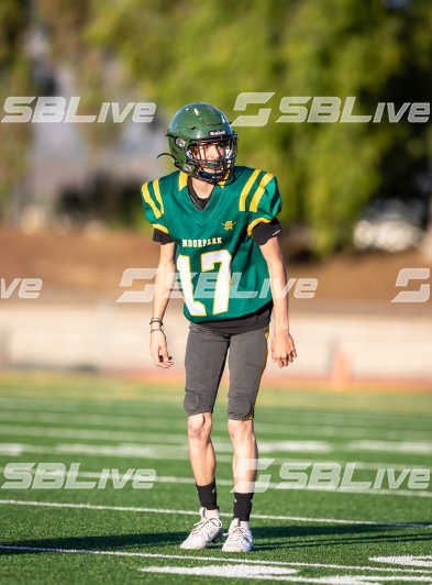 image of player