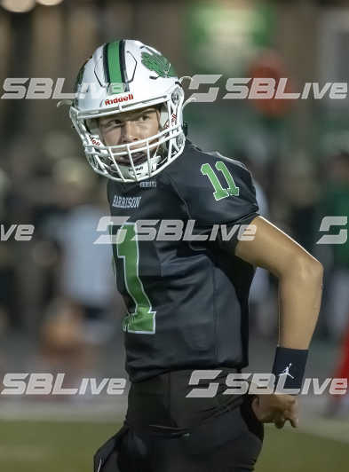 image of player