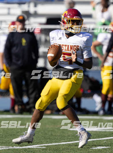 image of player
