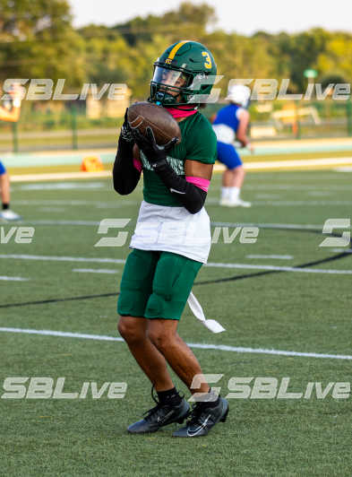 image of player