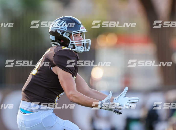 image of player