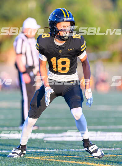 image of player