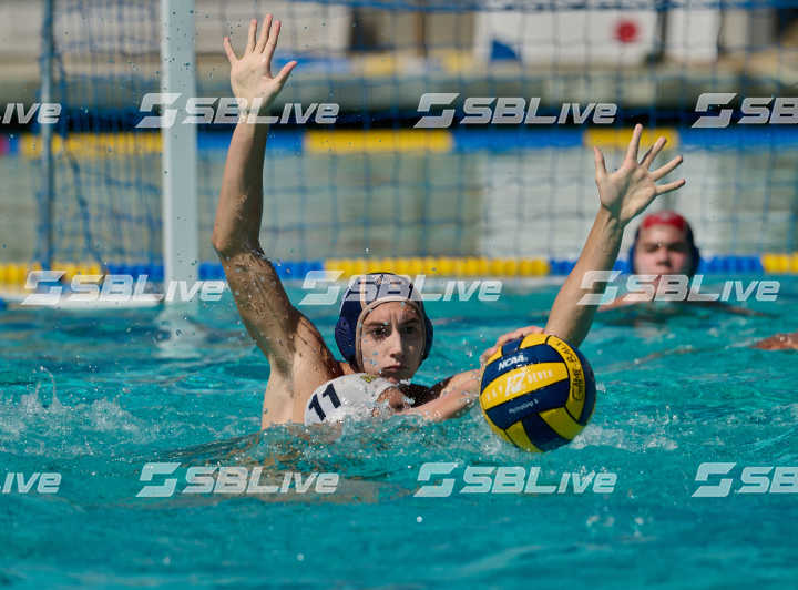 image of player