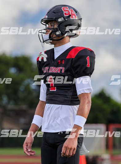 image of player