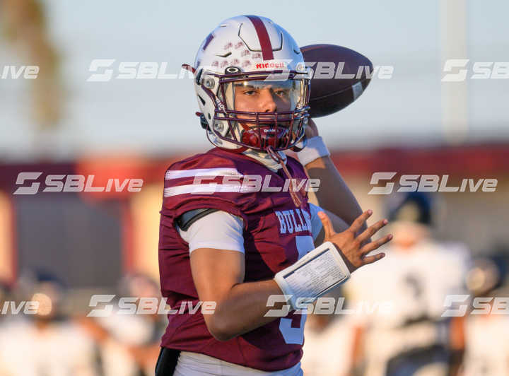 image of player