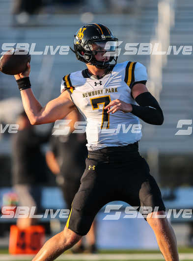 image of player
