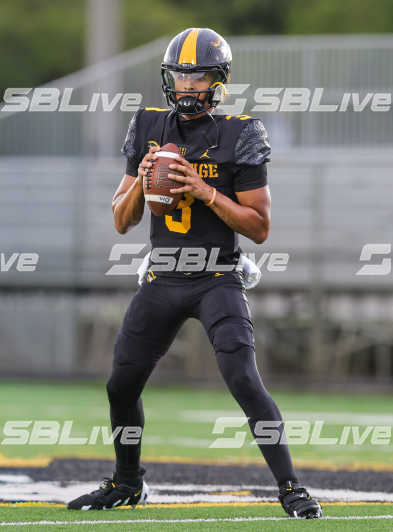 image of player