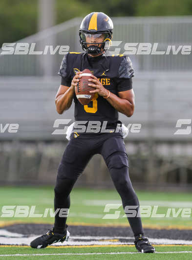 image of player