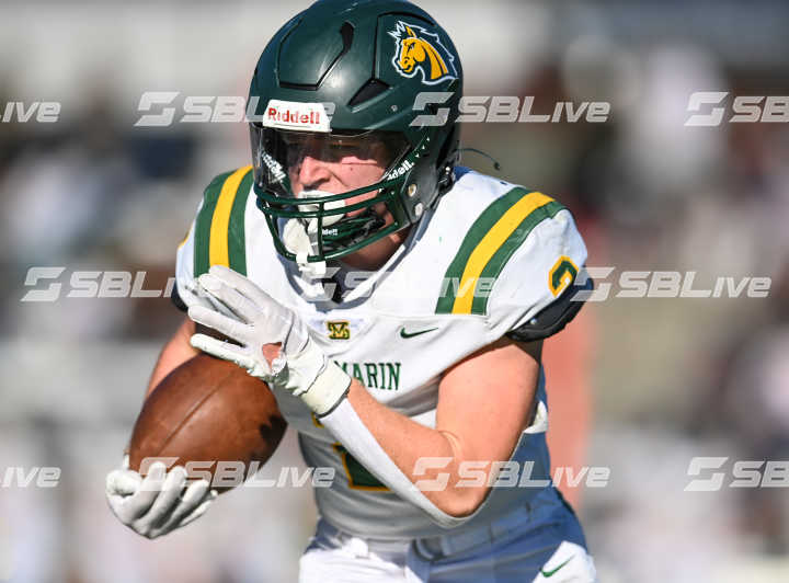 image of player