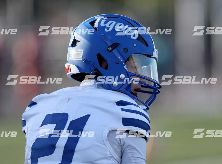 image of player