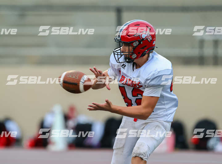 image of player