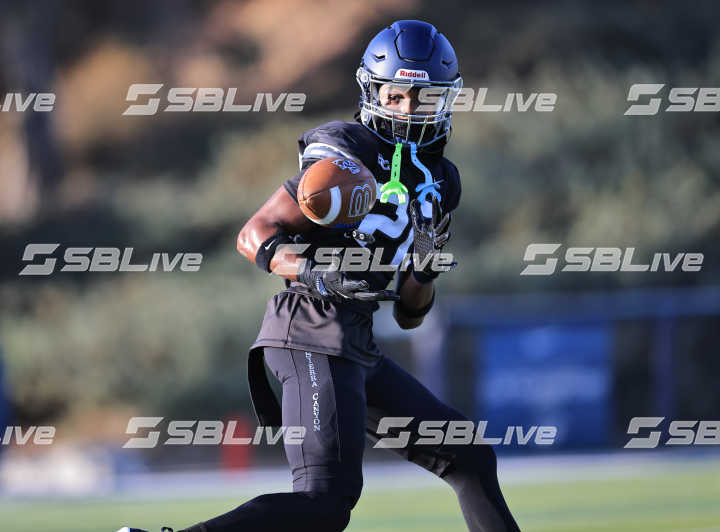 image of player