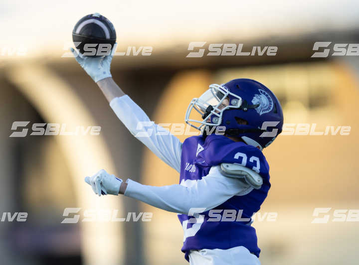 image of player