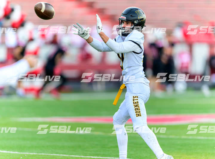 image of player