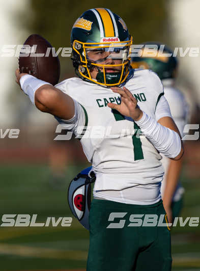 image of player