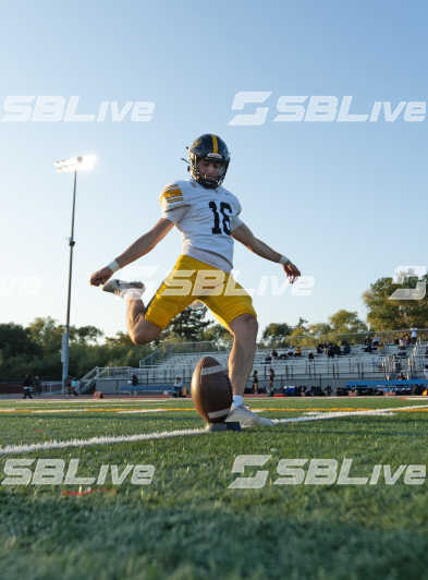 image of player