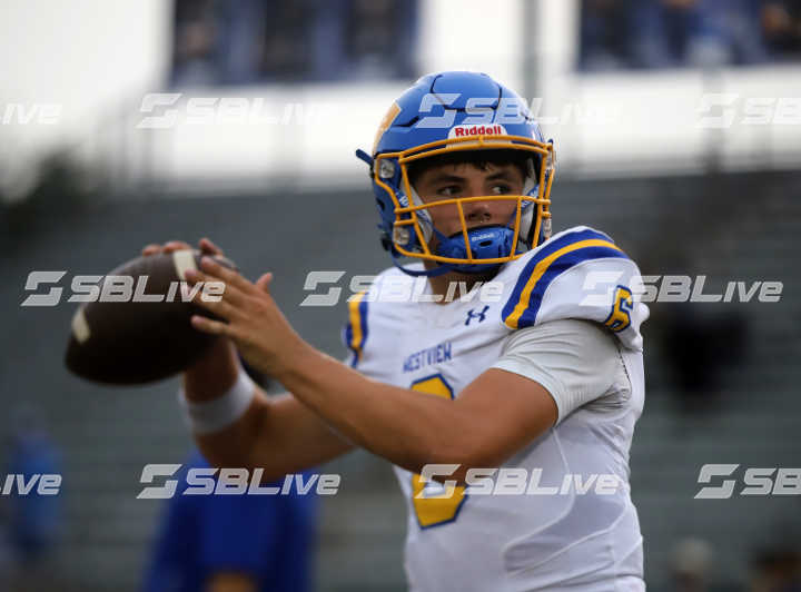 image of player