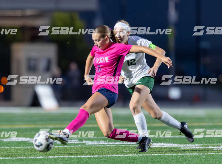 image of player