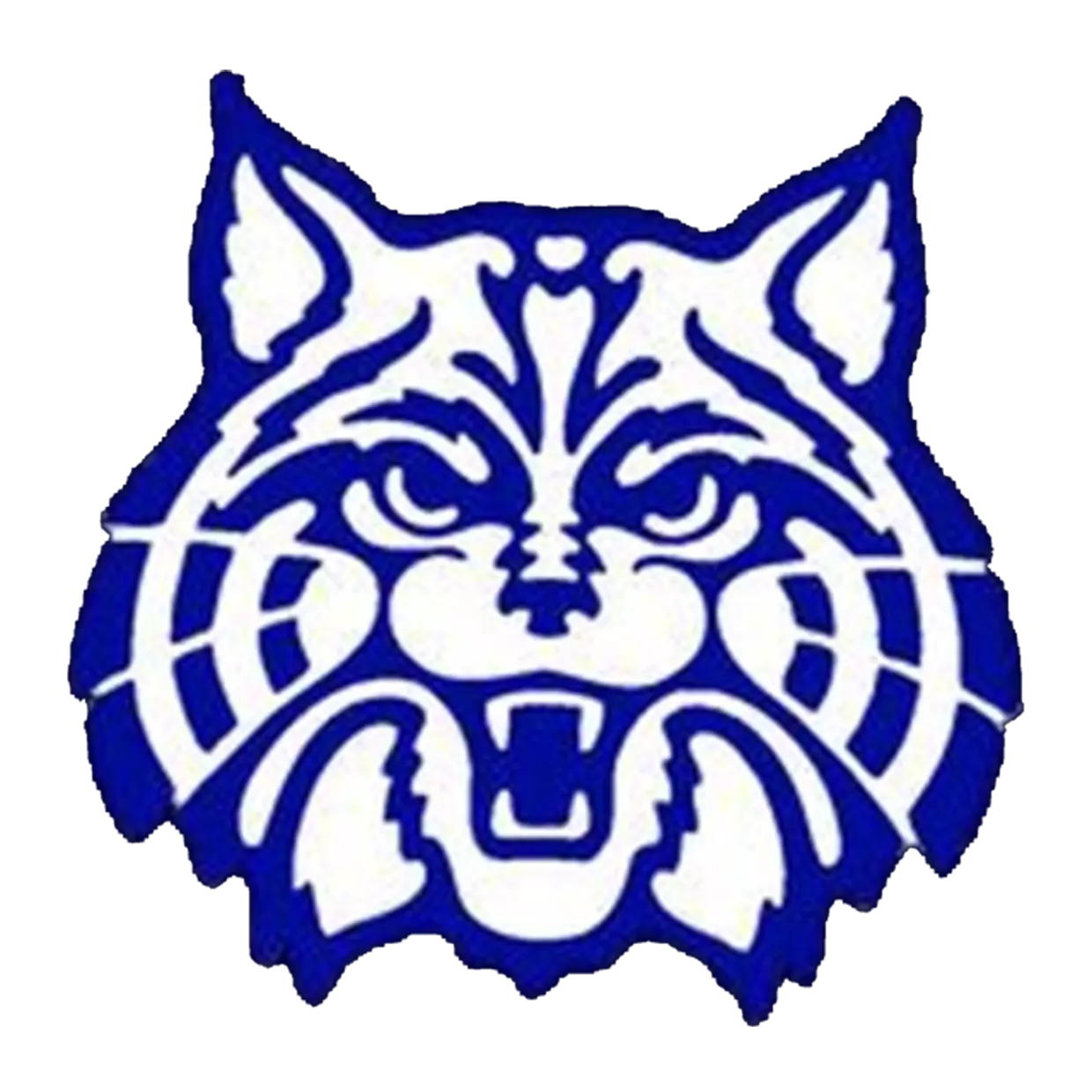 meridian-freshman-boys-basketball-schedule-mhsaa