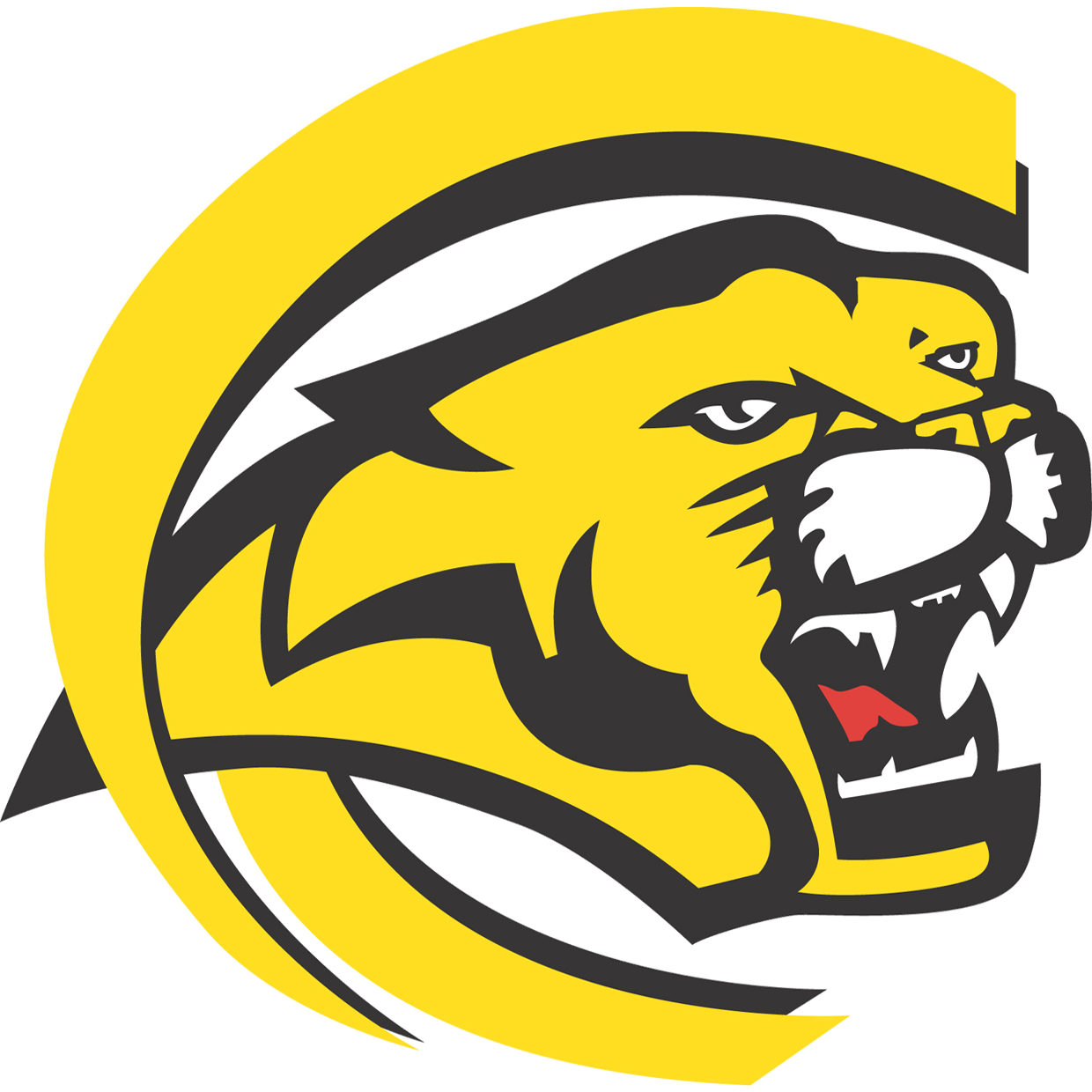 Mankato East Cougars Football Mankato MN Scorebooklive Mankato East Cougars Football Mankato MN Scorebooklive