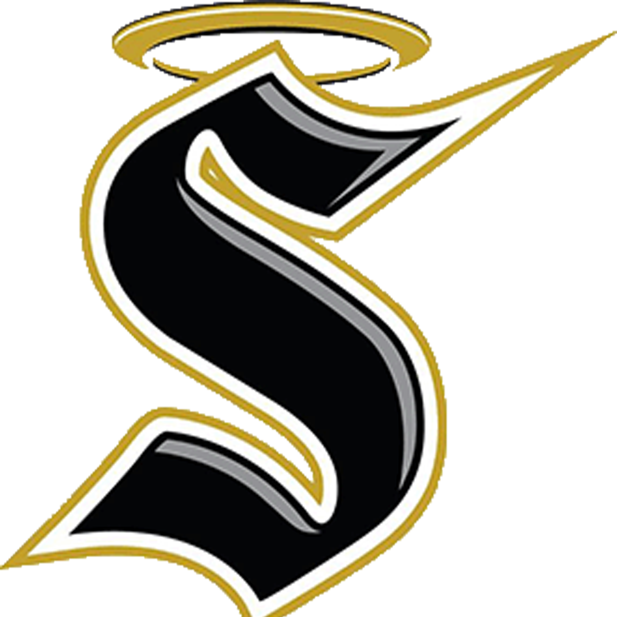 Berks Catholic Saints Football Reading PA Scorebooklive
