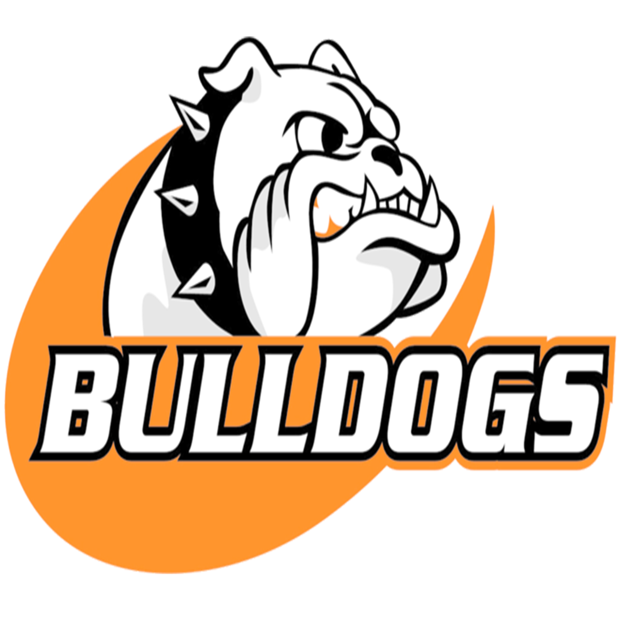 Cedarburg Bulldogs Football Cedarburg WI News High School On SI