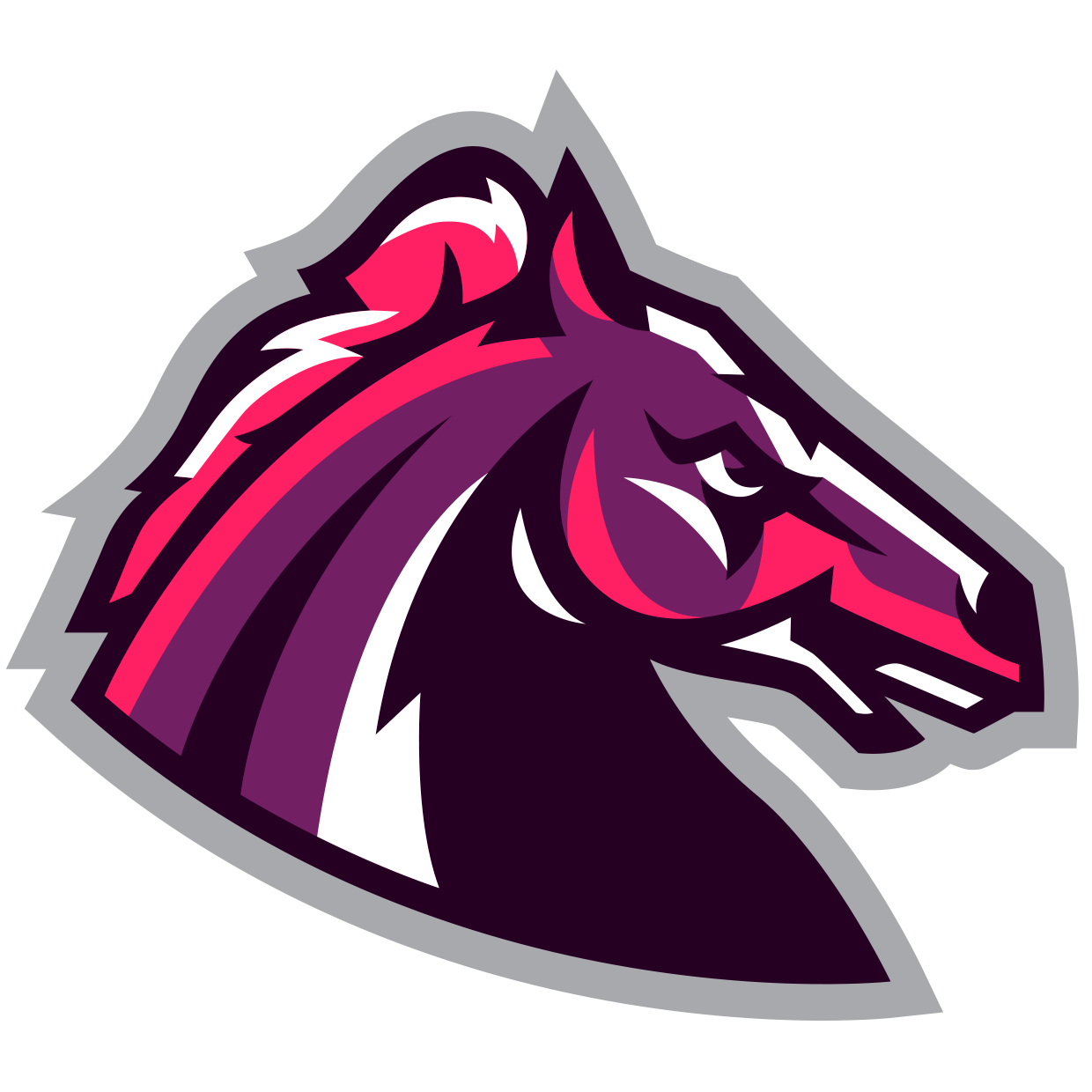 Northwest High School Broncos Boys Ice Hockey (Toronto, ON) High